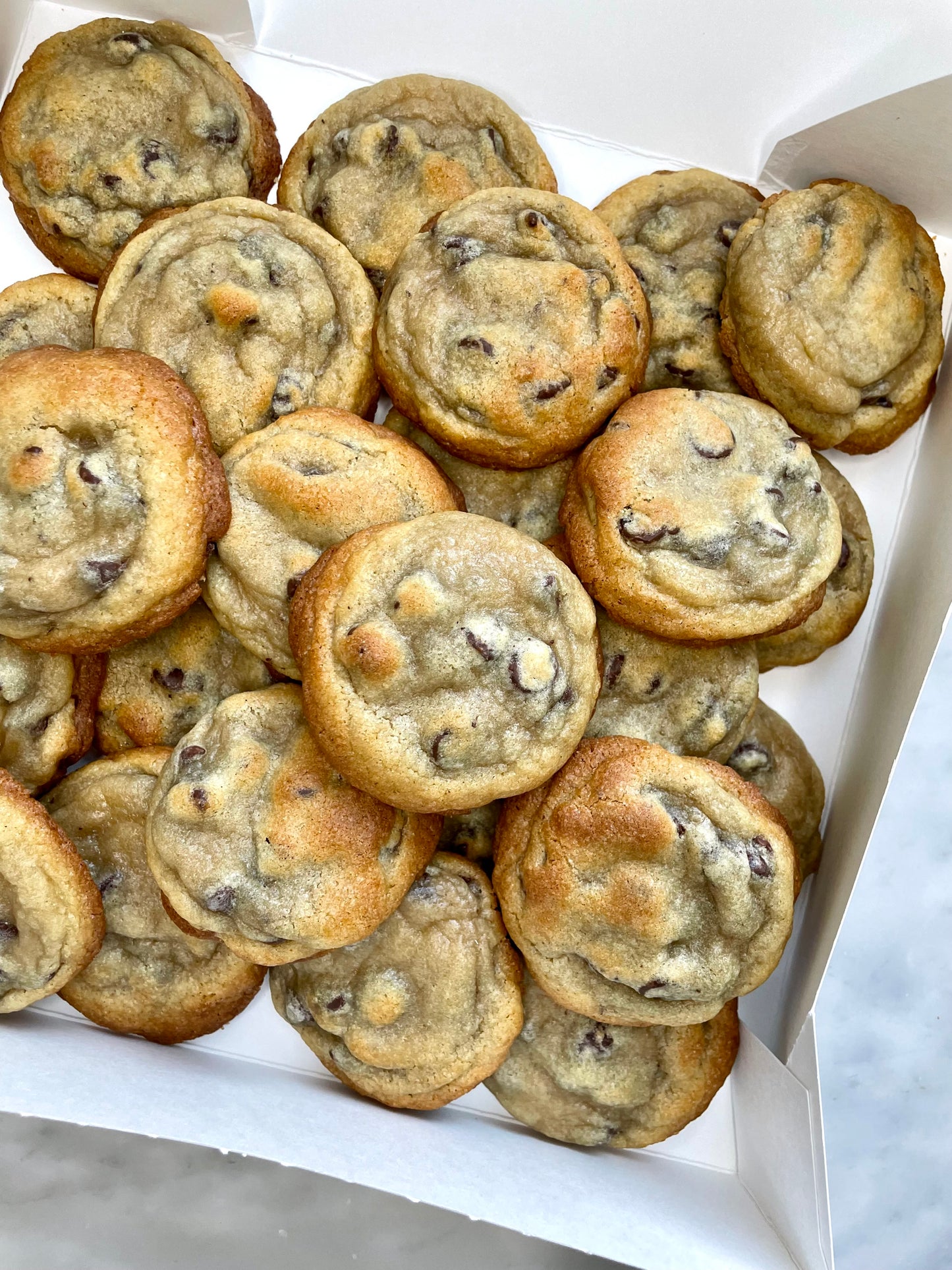 Chocolate Chip Cookie