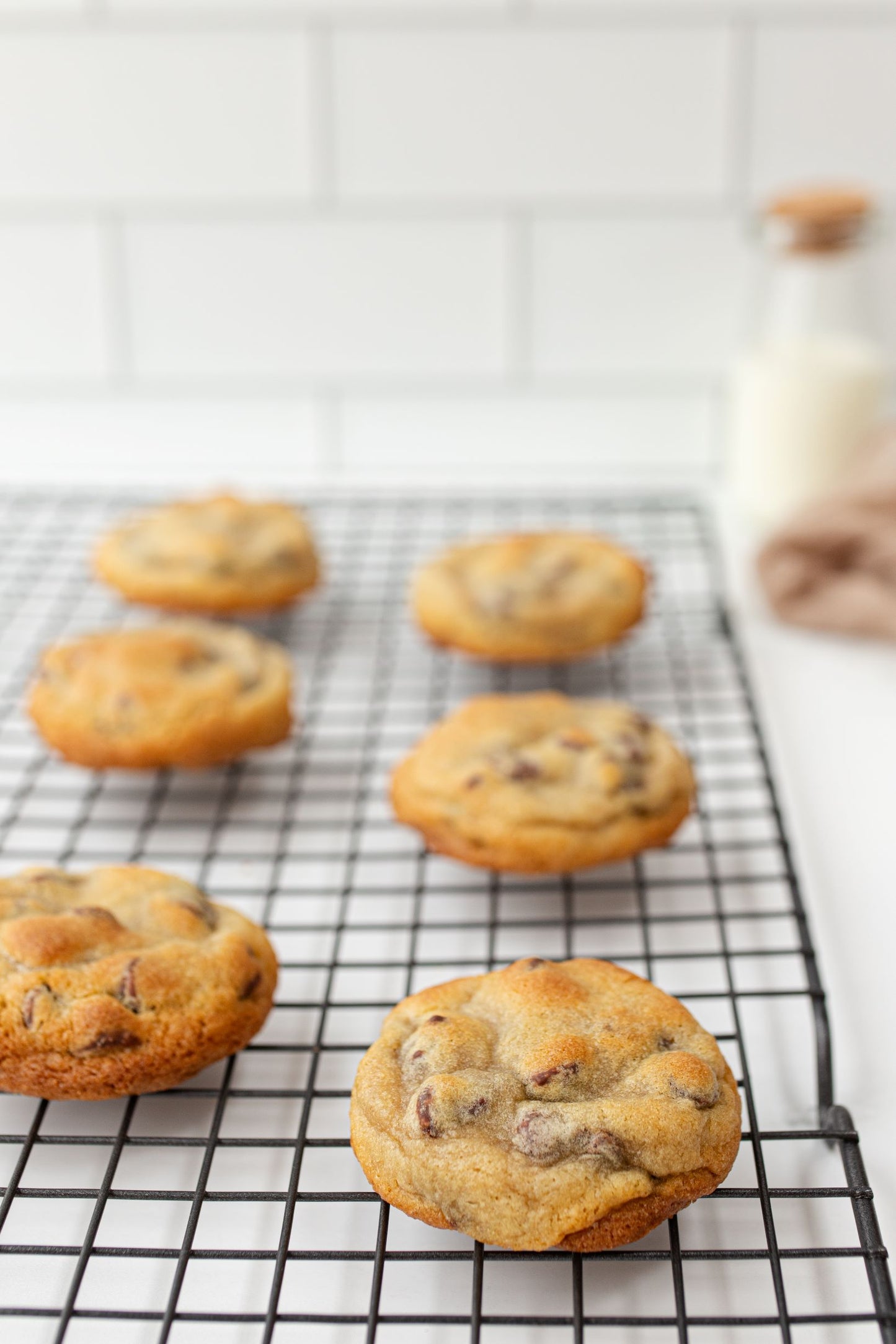 Chocolate Chip Cookie